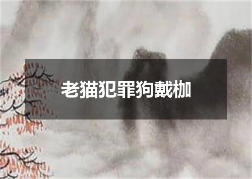 老猫犯罪狗戴枷