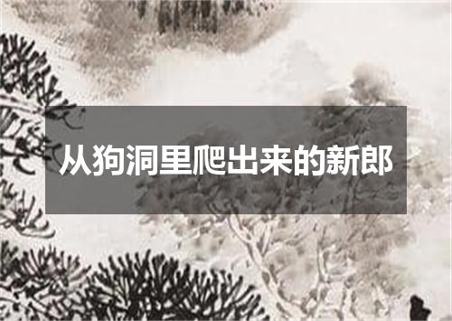 从狗洞里爬出来的新郎