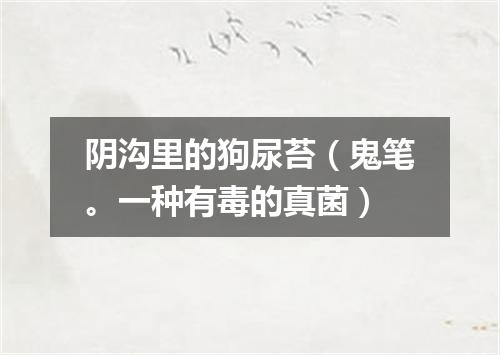 阴沟里的狗尿苔（鬼笔。一种有毒的真菌）