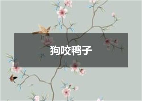 狗咬鸭子
