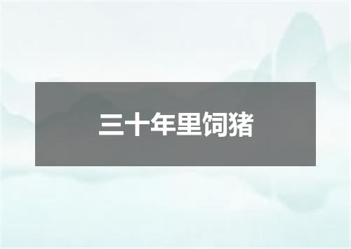 三十年里饲猪