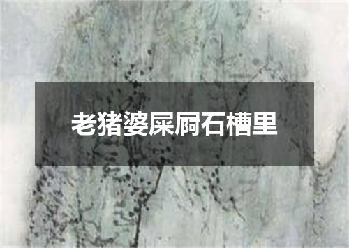老猪婆屎屙石槽里