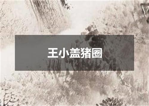 王小盖猪圈
