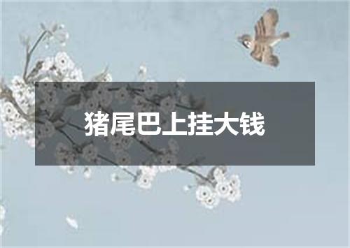 猪尾巴上挂大钱