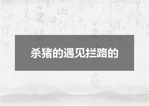 杀猪的遇见拦路的