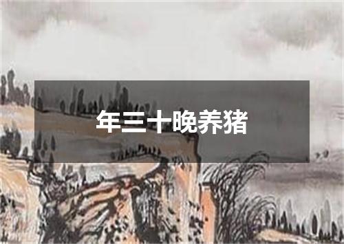 年三十晚养猪