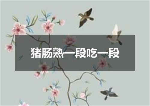 猪肠熟一段吃一段