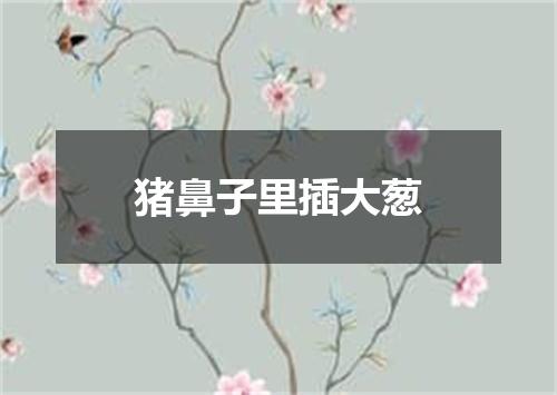 猪鼻子里插大葱
