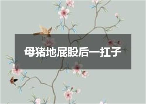 母猪地屁股后一扛子