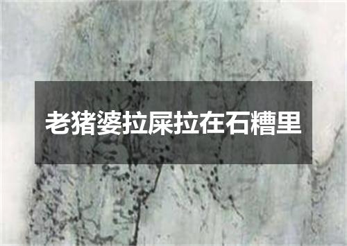 老猪婆拉屎拉在石糟里