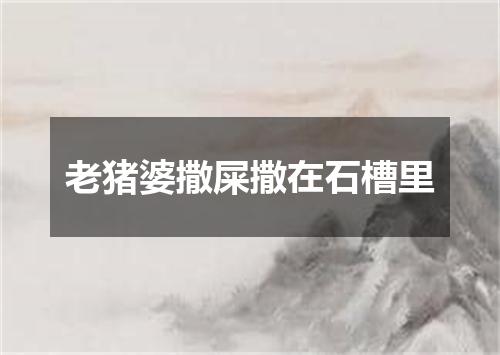 老猪婆撒屎撒在石槽里