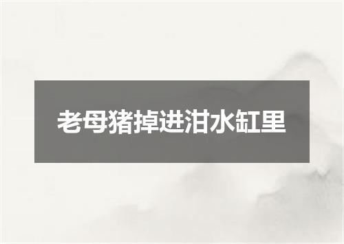 老母猪掉进泔水缸里
