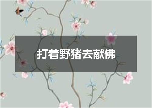打着野猪去献佛