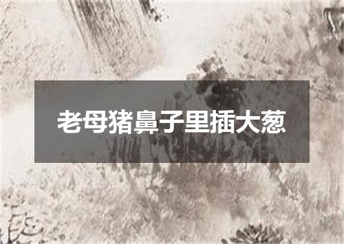 老母猪鼻子里插大葱