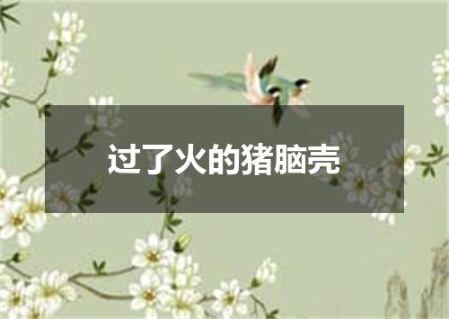 过了火的猪脑壳