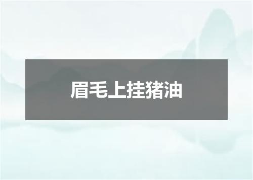 眉毛上挂猪油