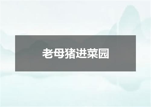 老母猪进菜园