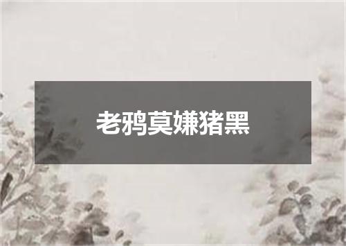 老鸦莫嫌猪黑