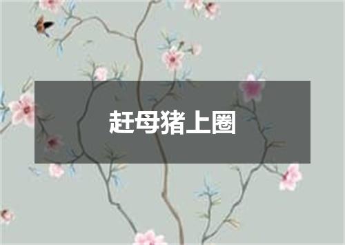 赶母猪上圈