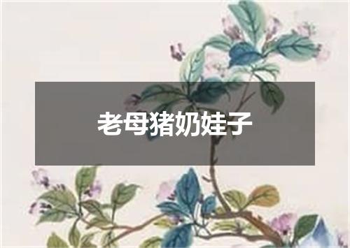 老母猪奶娃子