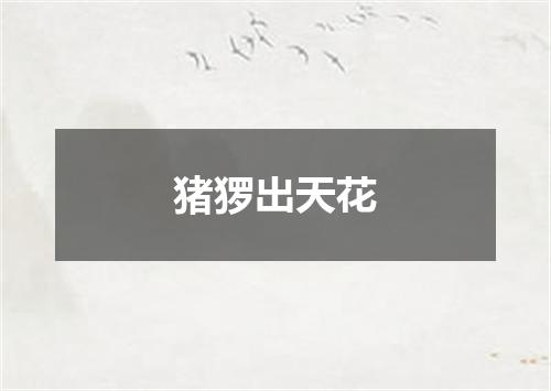 猪猡出天花
