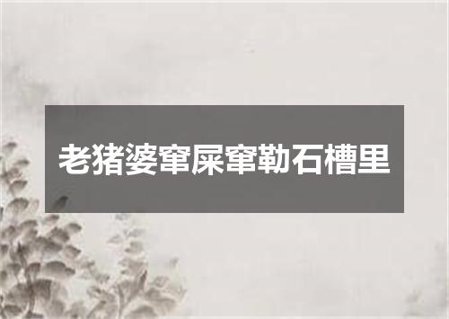 老猪婆窜屎窜勒石槽里