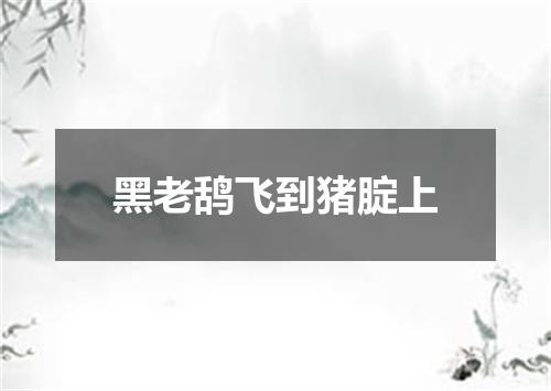 黑老鸹飞到猪腚上