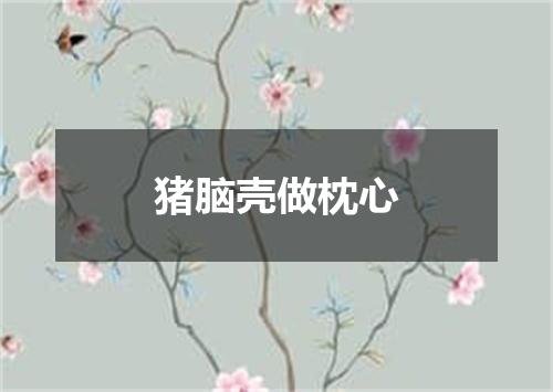 猪脑壳做枕心