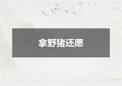 拿野猪还愿