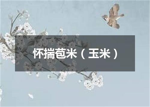 怀揣苞米（玉米）