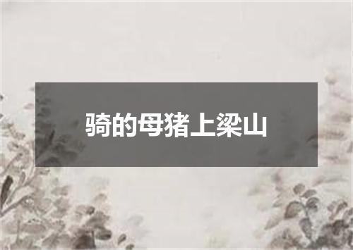 骑的母猪上梁山
