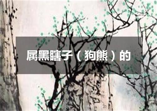 属黑瞎子（狗熊）的