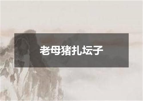 老母猪扎坛子