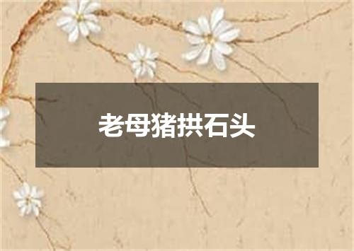 老母猪拱石头