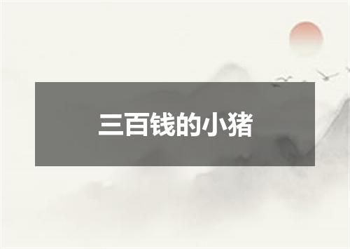 三百钱的小猪