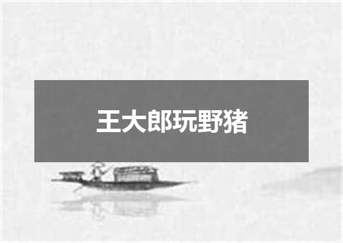 王大郎玩野猪