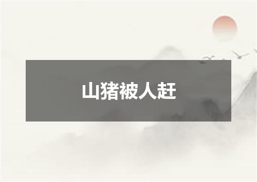 山猪被人赶