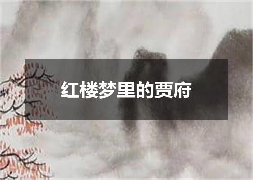 红楼梦里的贾府