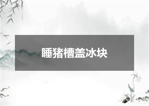 睡猪槽盖冰块