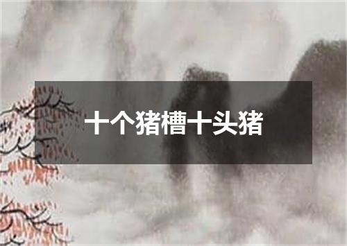 十个猪槽十头猪