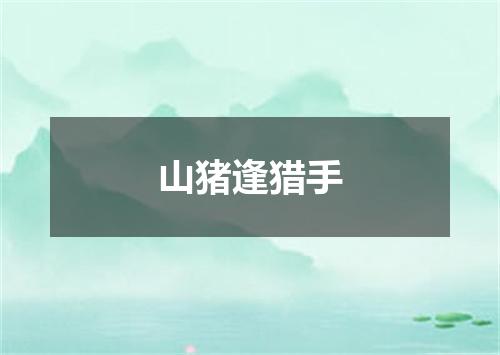 山猪逢猎手