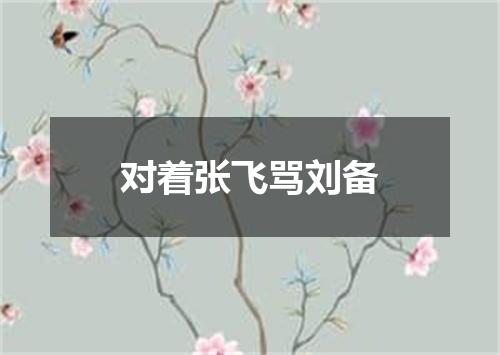 对着张飞骂刘备