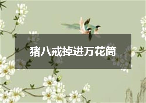 猪八戒掉进万花筒
