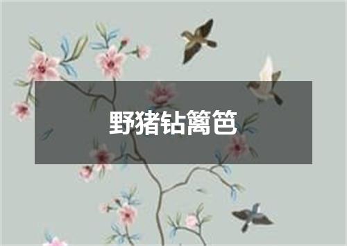 野猪钻篱笆