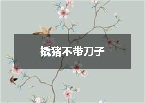 撬猪不带刀子