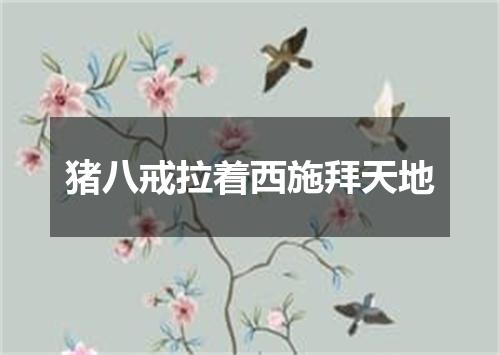 猪八戒拉着西施拜天地
