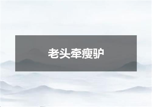 老头牵瘦驴