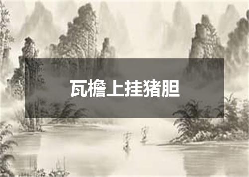 瓦檐上挂猪胆