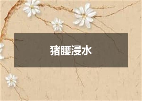 猪腰浸水
