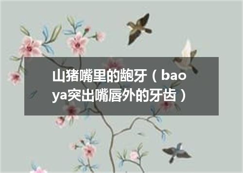 山猪嘴里的龅牙（bao ya突出嘴唇外的牙齿）